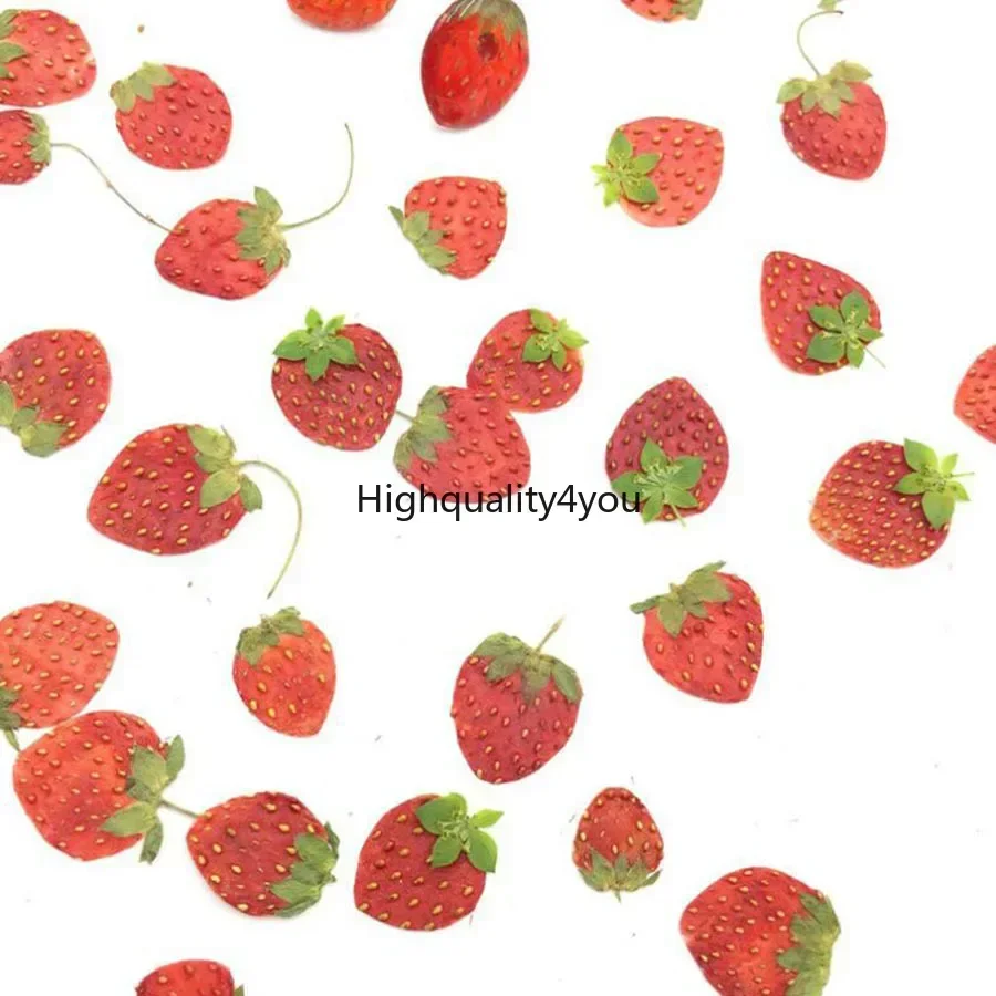 Dried Flower Bookmark - Mini fruits séchés PMurcia Harvey Peel,