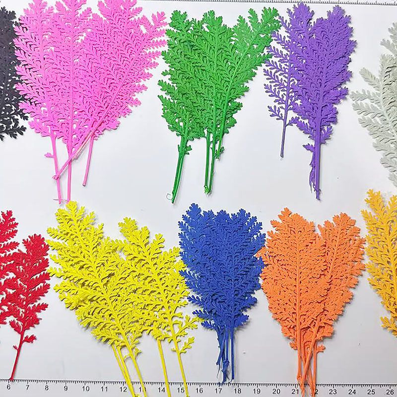 Dried Flower Bookmark - 100 feuilles de plumes argentées naturelles