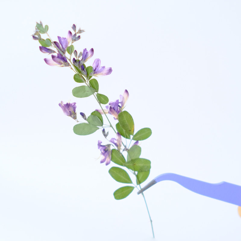 6 pièces, fleurs séchées press - Dried Flower Bookmark avis et prix