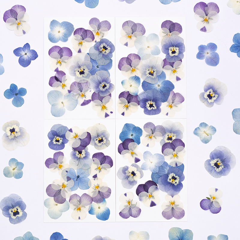 12 pièces, véritables fleurs s - Dried Flower Bookmark avis et prix