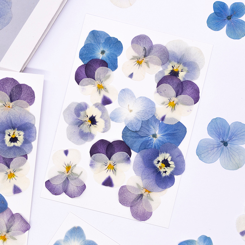 12 pièces, véritables fleurs s - Dried Flower Bookmark avis et prix