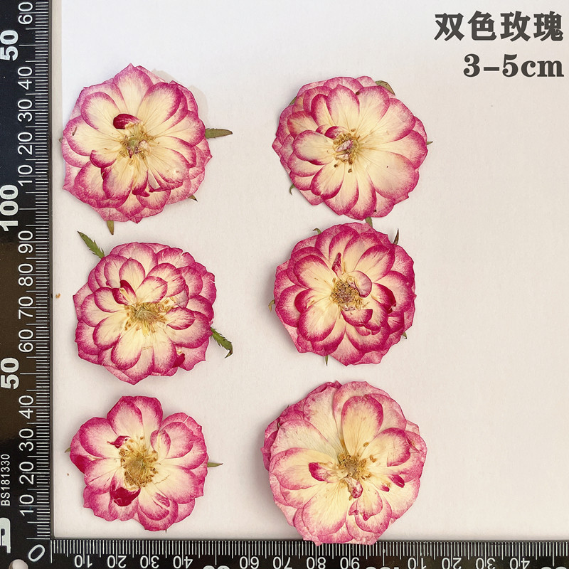 60 pièces pressées séchées rou - Dried Flower Bookmark avis et prix