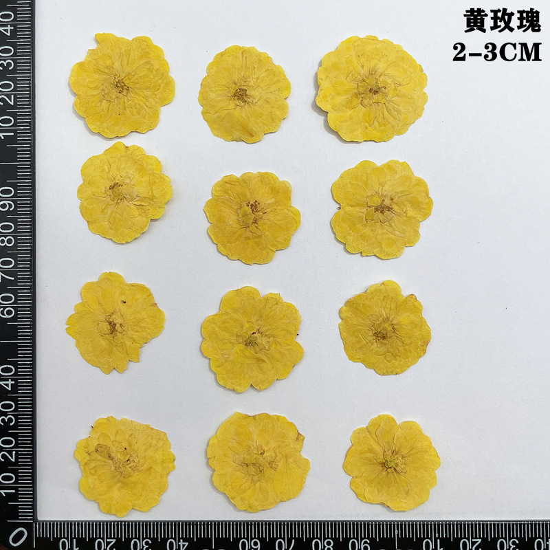 60 pièces pressées séchées rou - Dried Flower Bookmark avis et prix