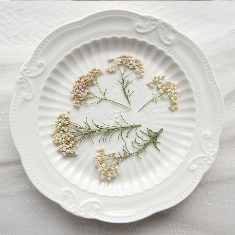 12 pièces, Branches de fleurs  - Dried Flower Bookmark avis et prix