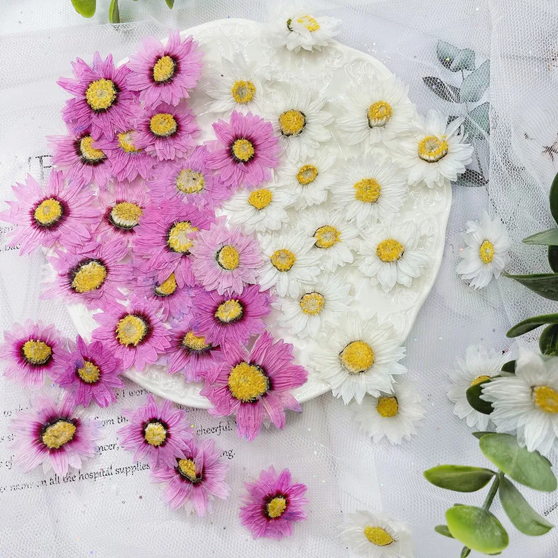 Pétales de fleurs de Murcia na - Dried Flower Bookmark avis et prix