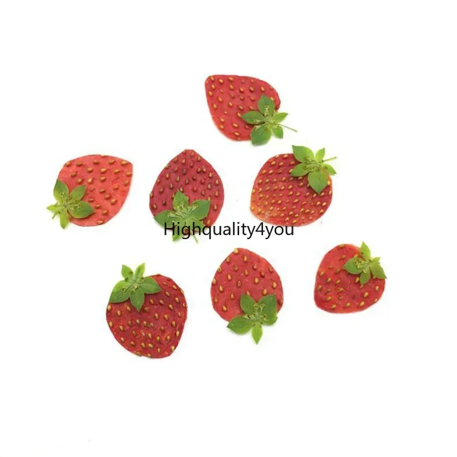Mini fruits séchés PMurcia Har - Dried Flower Bookmark avis et prix