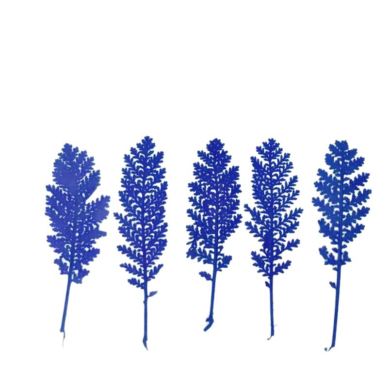 100 feuilles de plumes argenté - Dried Flower Bookmark avis et prix